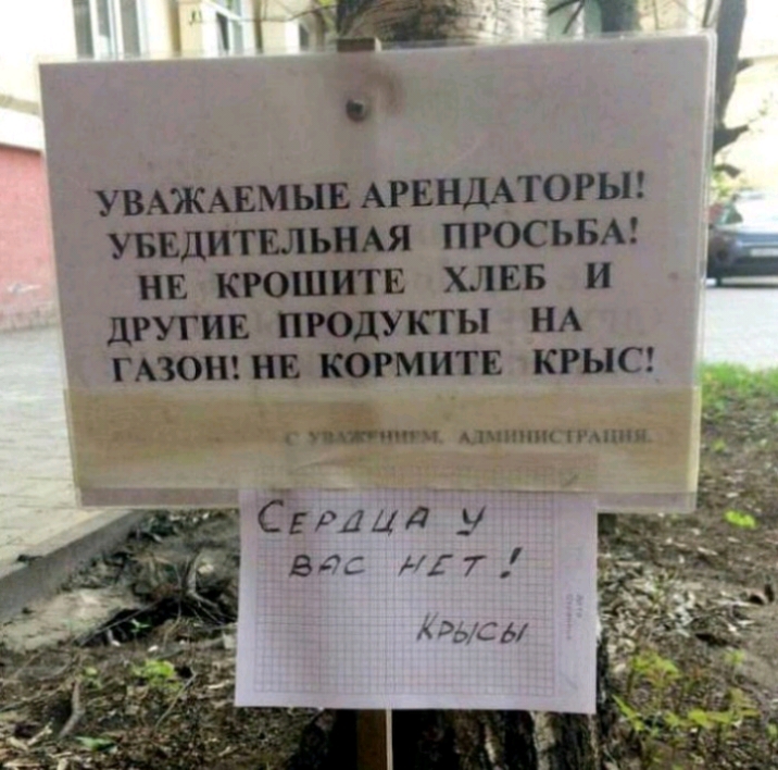 7 а УВАЖАЕМЫЕ АРЕНДАТОРЫ увадитвлшя ПРОСЬБА нв крошить хлвв и дгугив итить НА гвонгив тмин КРЫС Ё плати мшпт пчпии Серии _ч вс 7