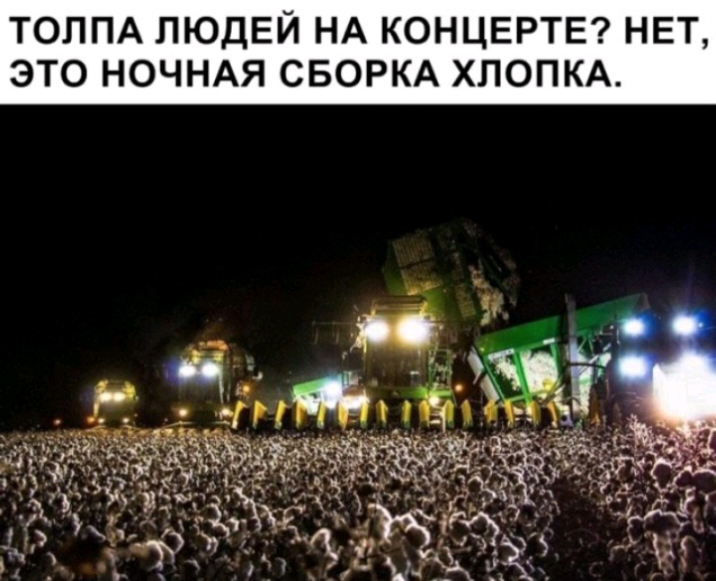 ТОЛПА ЛЮДЕЙ НА КОНЦЕРТЕ НЕТ ЭТО НОЧНАЯ СБОРКА ХЛОПКА