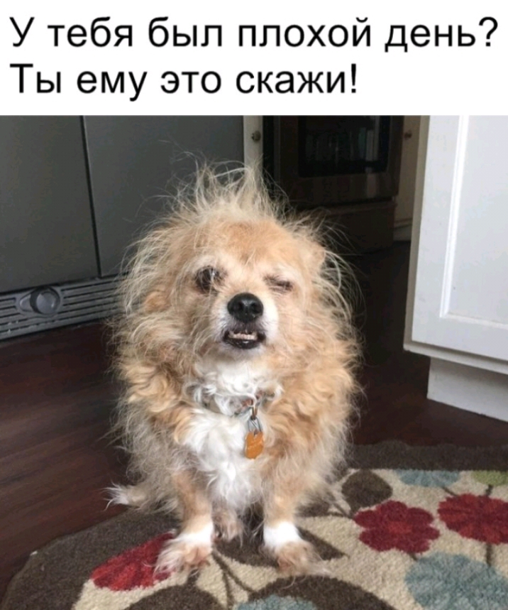 У тебя был плохой день Ты ему это скажи