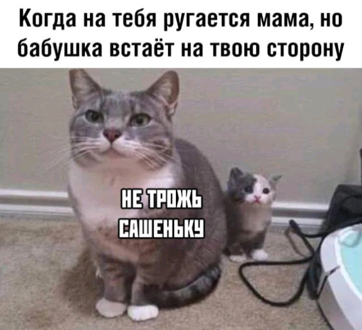 Когда на тебя ругается мама но бабушка встаёт на твою сторону Е ТРПЖЬ ЕПШЕНЫШ