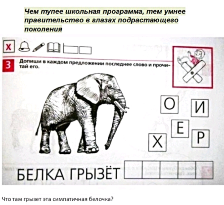 Чем тупее школьная программа тем умнее правительство в слезах подрастающего поколения ШёЩЁШ Адриано Атм __ БЕЛКА ГРЫЗЁТШЩ Чт ам грызи эта симпаичиая белочка