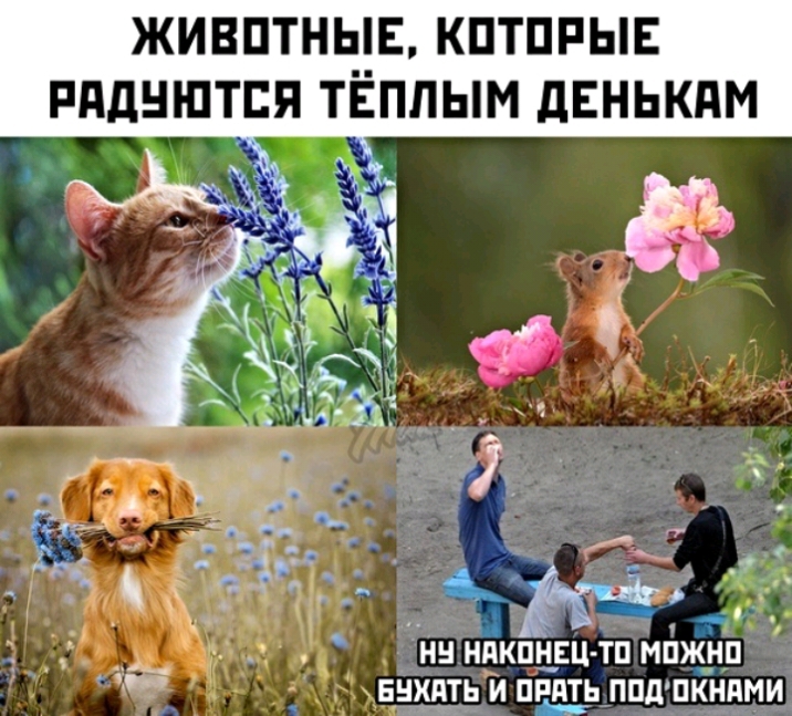 ЖИВПТНЬ_Е КПТПРЫЕ РддНШТЕЯ Т_ЕПЛЫМ дЕНЬКдМ нн ндкпнвц тп мпжнд выжить и пить пш_гпкн_д_ми