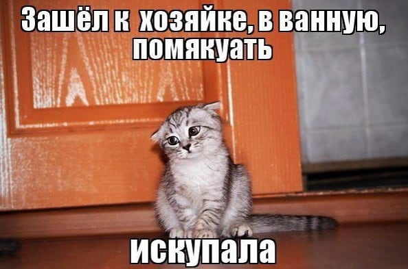ЗЯШЁП н ХВЗЯЙНВ В ванную в Ё исиуііапа
