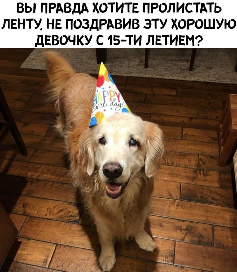 ВЫ ПРАВДА ХОТИТЕ ПРОЛИСТАТЬ ЛЕНТУ НЕ ПОЗДРАВИВ ЭТУ ХОРОШУЮ дЕВОЧКУ С 15ТИ ЛЕТИЕМ