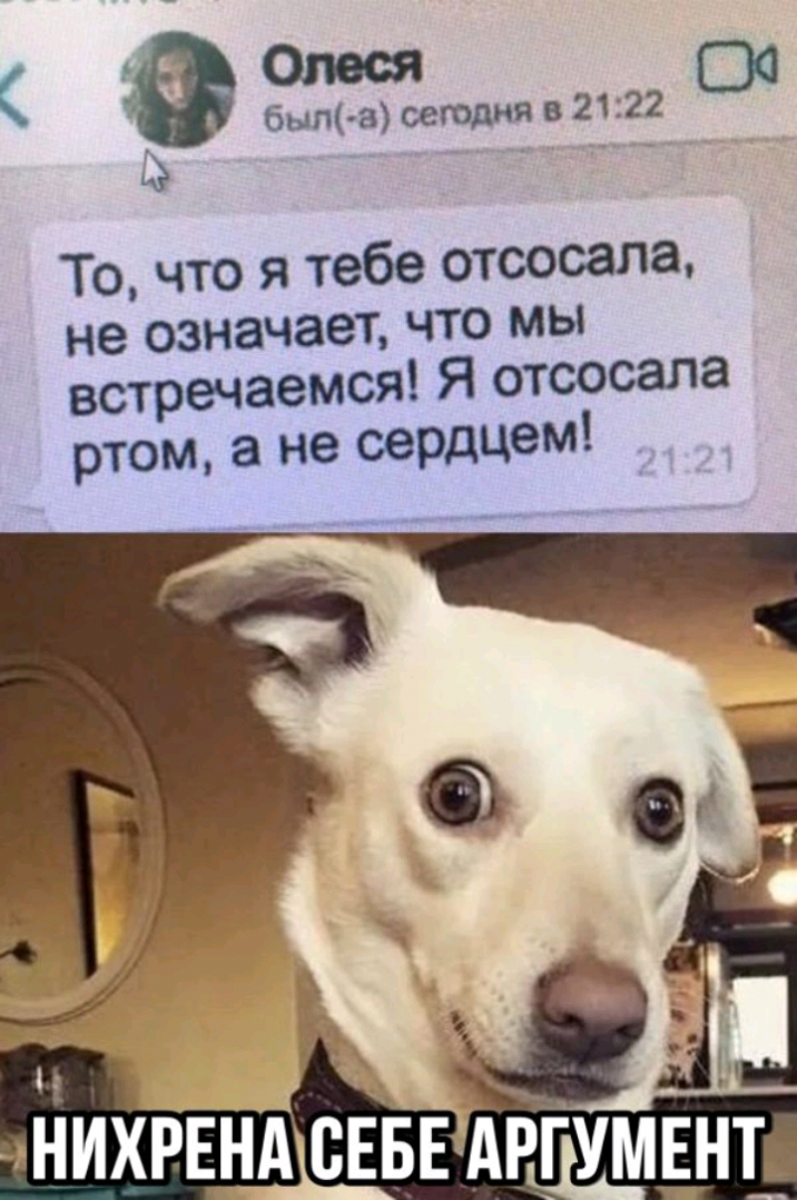 ао бып асеюдняв21 22 Точто я тебе отсосала не означает что мы встречаемся Я отсосала ртом а не сердцем НИХРЕНА СЕБЕ АРГУМЕНТ