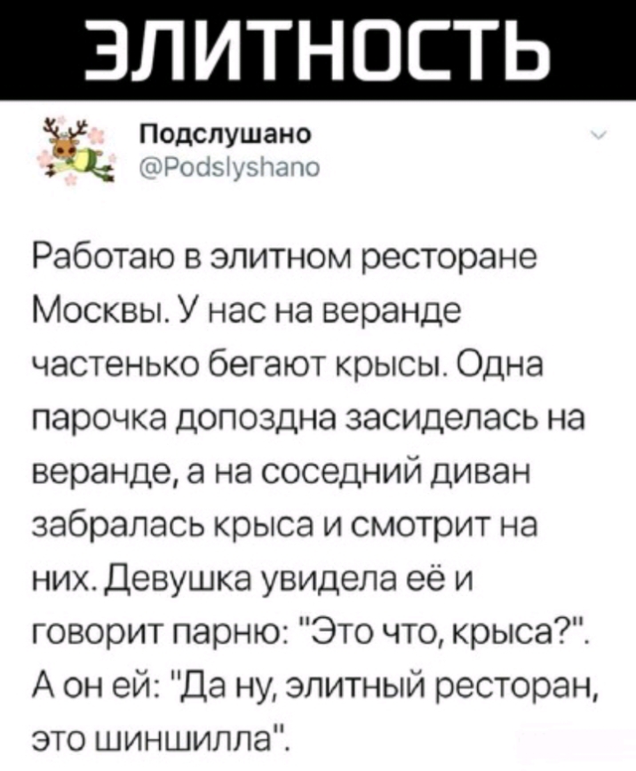 Подспушано іп Росіэтувтато Работаю в элитном ресторане Москвы У нас на веранде частенько бегают крысы Одна парочка допоздна засиделась на веранде а на соседний диван забрапась крыса и смотрит на них Девушка увидела её и говорит парню Это что крыса А он ей Да ну элитный ресторан это шиншилла
