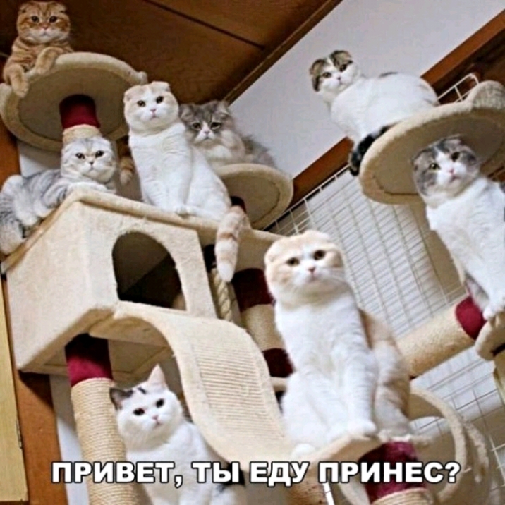 _ привит0 ты Ед__