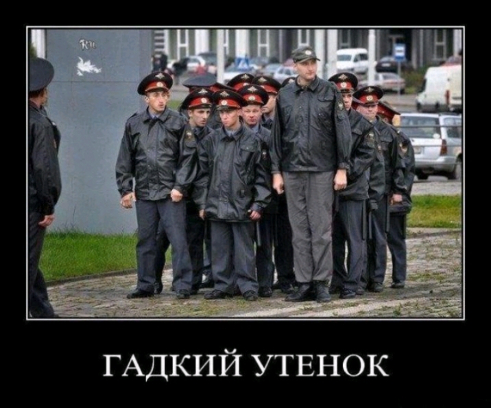 ГАДКИЙ УТЕНОК