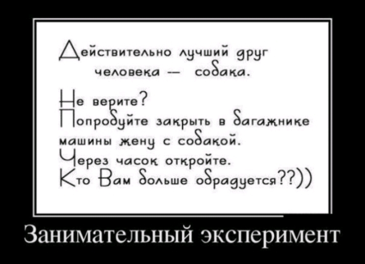 Аействтемаио АЭЧШИ ЭРЗГ чеАовека _ соЗака Це ЕЕЁИТЕ Попро чйте закрьпь в Загажнике машины мены с соЗакой Через часок ОТКРОЙТЕ Кто Вам ЗОАЬШе 08 в гор Р 93 ЗИНИМПТСЛЬНЫЙ ЭКСПСРИМСНТ