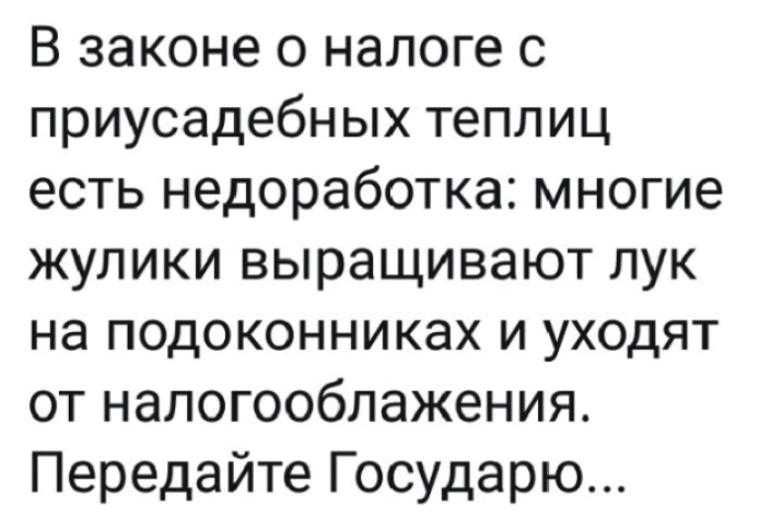 В законе о налоге с приусадебных теплиц есть недоработка многие жулики выращивают лук на подоконниках и уходят от налогооблажения Передайте Государю