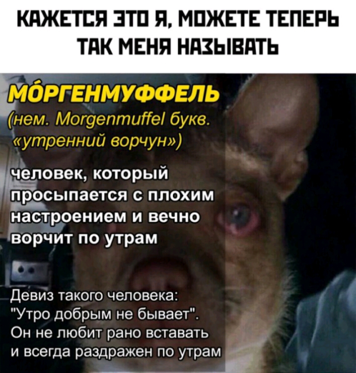 КдЖЕТЕЯ ЭТП Я МПЖЕТЕ ТЕПЕРЬ ТПК МЕНЯ НПЗЫВПТЬ ьтгвнмуффвль нем МогуептиГе букв утренний ворчун чедовещ который сыпается с плохим настроением и вечно ворчИт по утрам Девиз такого человека 1 Утро добрым не бывает _ Он не любит рано вставать и всегда раздражен по УТМ