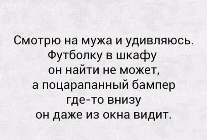 Смотрю на мужа и удивляюсь Футболку в шкафу он найти не может а поцарапанный бампер гдето внизу он даже из окна видит