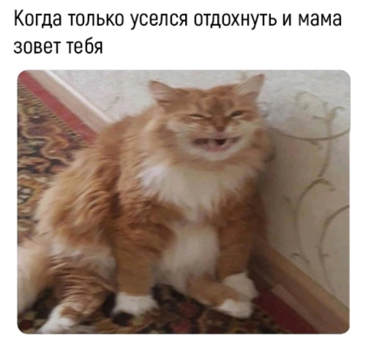 Когда только уселся отдохнуть и мама зовет тебя