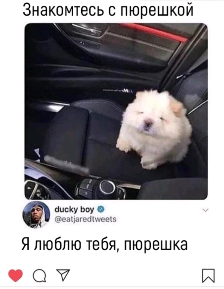 Знакомтесь с пюрешкой _ аису Ьоу тоацгъгскіНисси Я люблю тебя пюрешка И