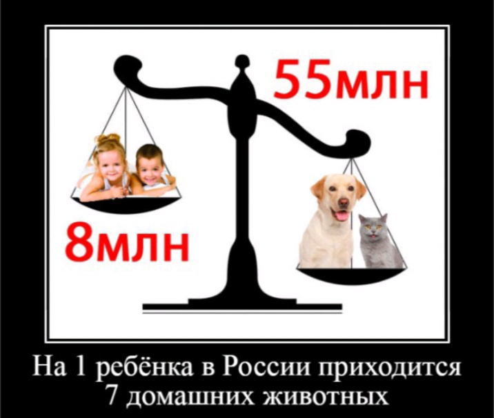 На 1 ребёнка в России приходится 7 домашних животных