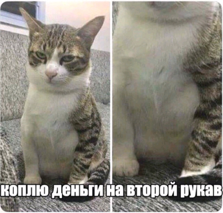 ШИН дЕИЫИ 8 ВТОППИ И _ 55