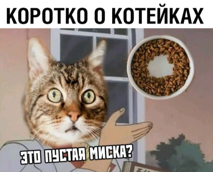 КОРОТКО О КОТЕЙКАХ
