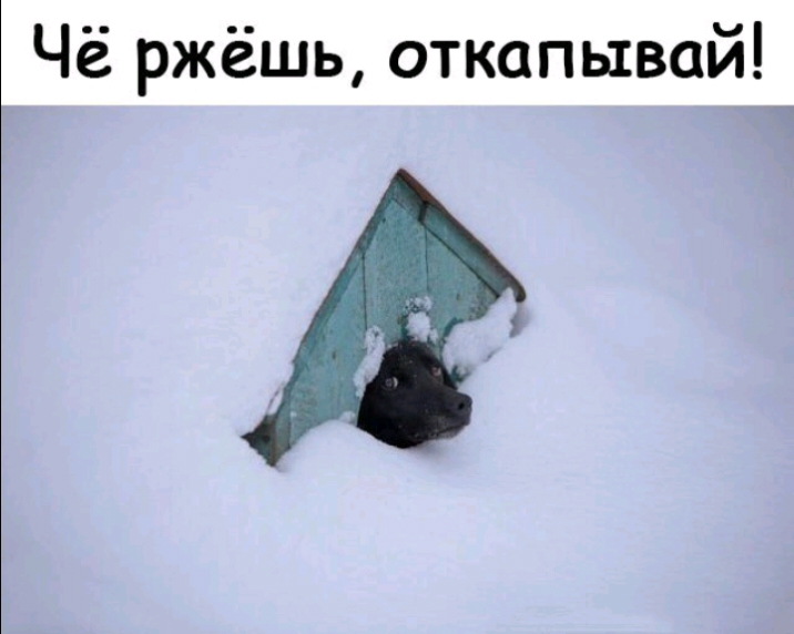 Чё ржёшь откапывай