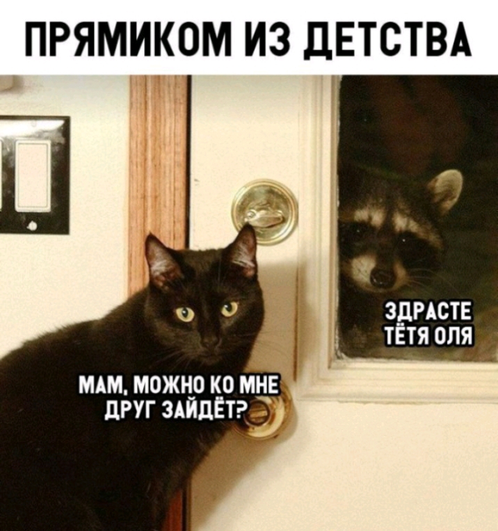 ПРЯМИКОМ ИЗ ДЕТСТВА ЗДРАСТЕ ТЕТЯ ОЛЯ мдм можнр ко мне дРУГ зАидЕт__