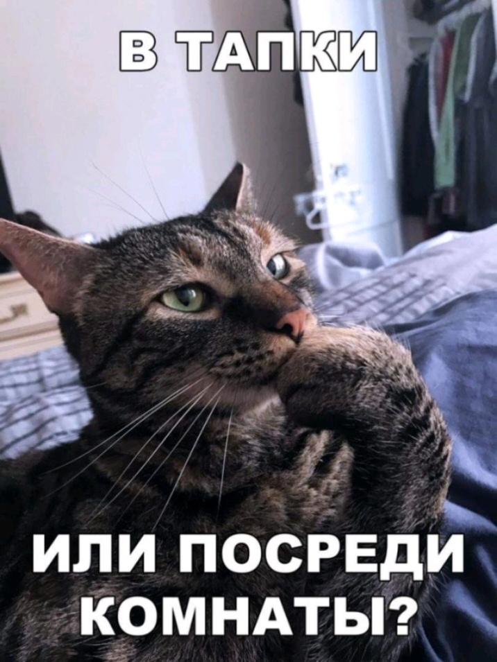 или посреди кёомндтыг