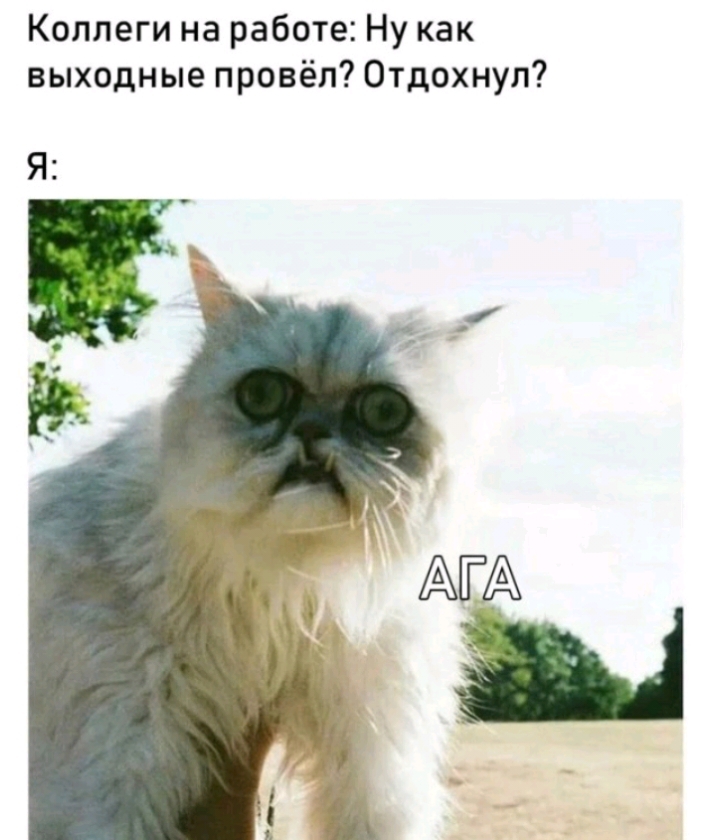 Коллеги на работе Ну как выходные провёл Отдохнул