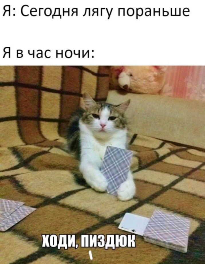 Я Сегодня лягу пораньше Я в час ночи ходи пиздю