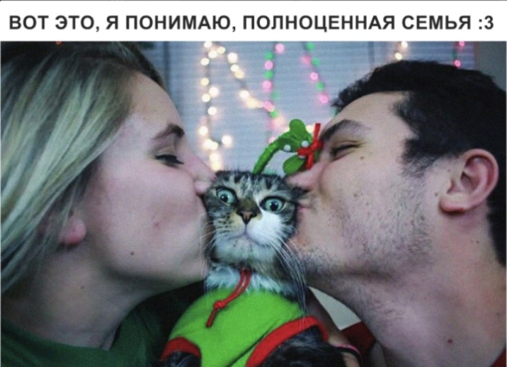 ВОТ ЭТО Я ПОНИМАЮ ПОПНОЦЕННАЯ СЕМЬЯ 3
