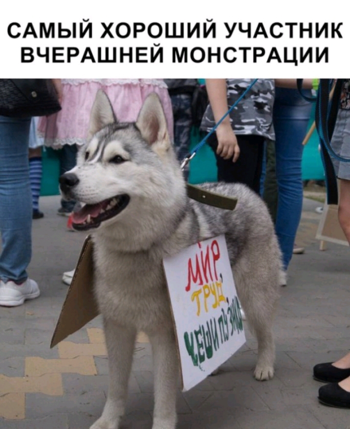 САМЫЙ ХОР9ШИЙ УЧАСТНИК ВЧЕРАШНЕИ МОНСТРАЦИИ г тю _