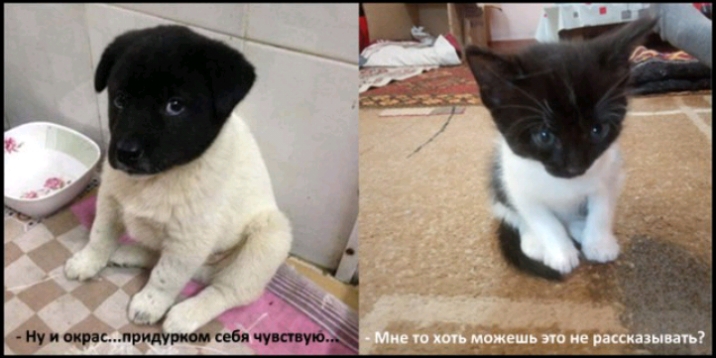 2 Ну и и рп притуп себ чукп уо