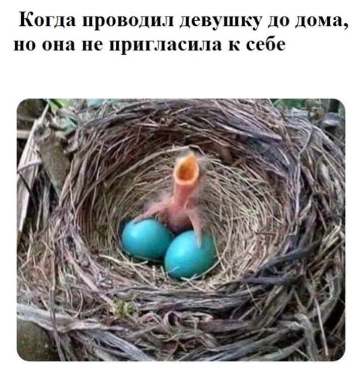 Когда ПРОВОДИЛ Девушку ДО дома НО она не пригласила К себе