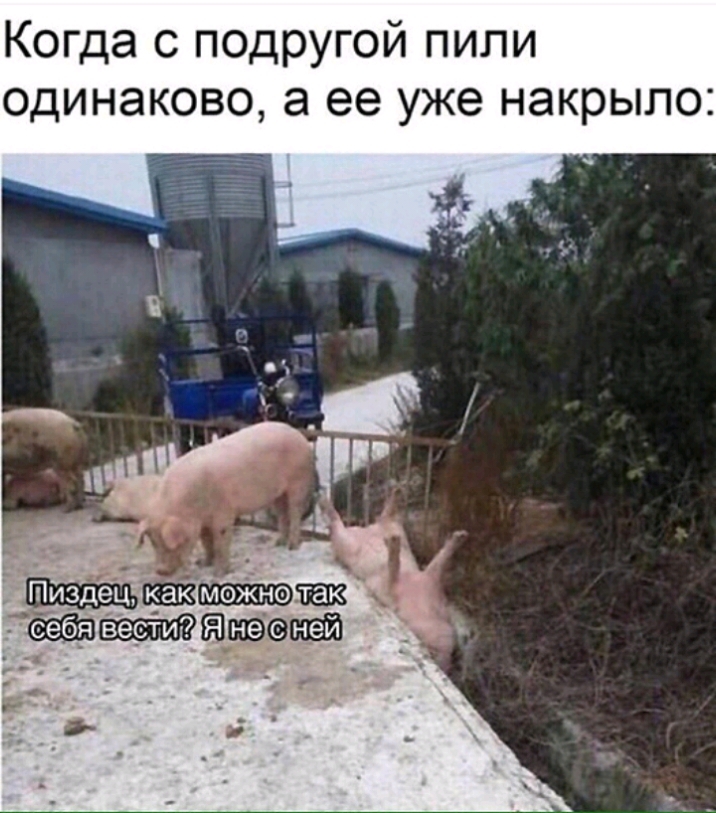 Когда с подругой пили одинаково а ее уже накрыло