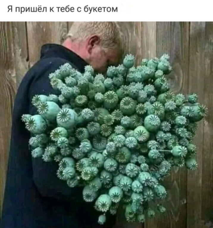 Я пришёл к тебе с букетом