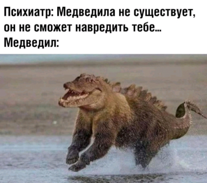 Психиатр Медведипа не существует он не сможет навредить тебе Медведип