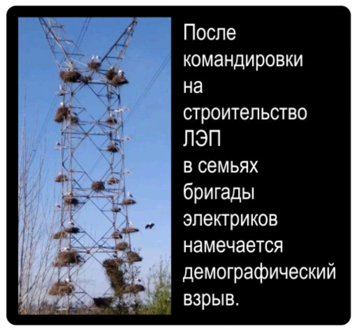 Поспе командировки на строительство ПЭП в семьях бригады электриков намечается демографический взрыв
