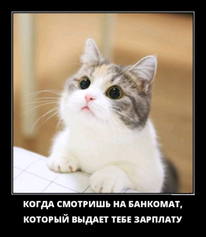 КОГДА СМОТРИШЪ НА БАНКОМАТ КОТОРЫЙ ВЫДАЕТ ТЕБЕ ЗАРПЛАТУ
