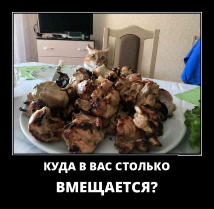 КУДА В ВАС СТОЛЬКО ВМЕЩАЕТСЯ