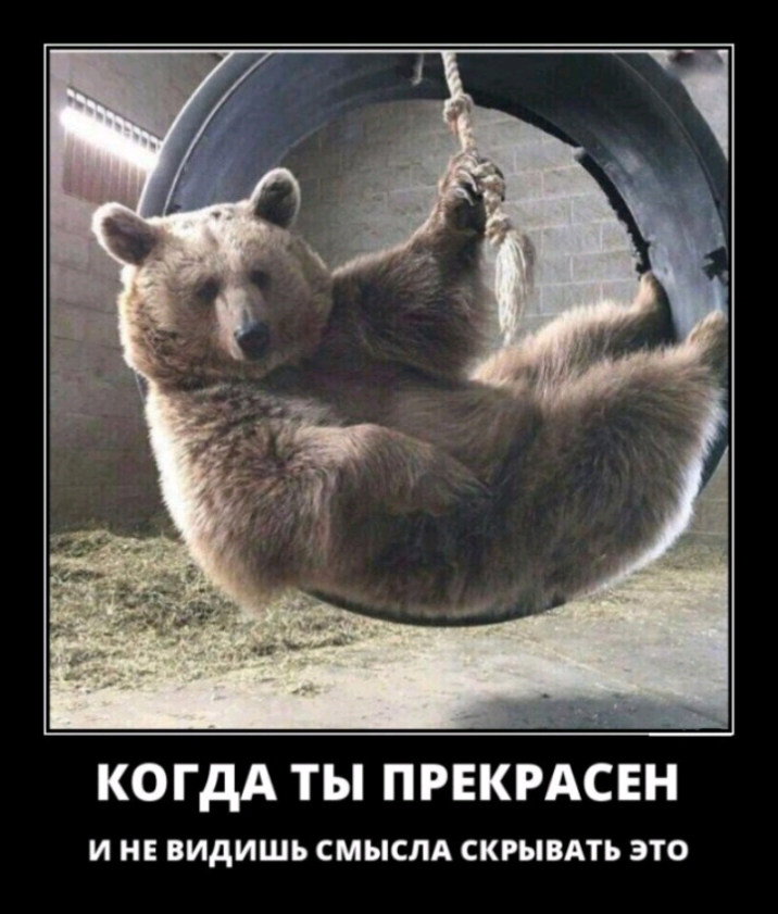 КОГДА ТЫ ПРЕКРАСЕН И НЕ ВИДИШЬ СМЫСЛА СКРЫВАТЬ ЭТО