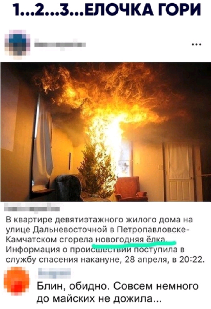 123ЕЛОЧКА ГОРИ _ В квартире ДЕВЯТИЭТЗЖНОГО ЖИЛОГО Дома на улице Дальневосточной В Петропавловске Камчатском сгорела новогоЁняя ёъ Информация о прои упипа в службу спасения накануне 28 апреля в 2022 Блин обидно Совсем немного до майских не дожила