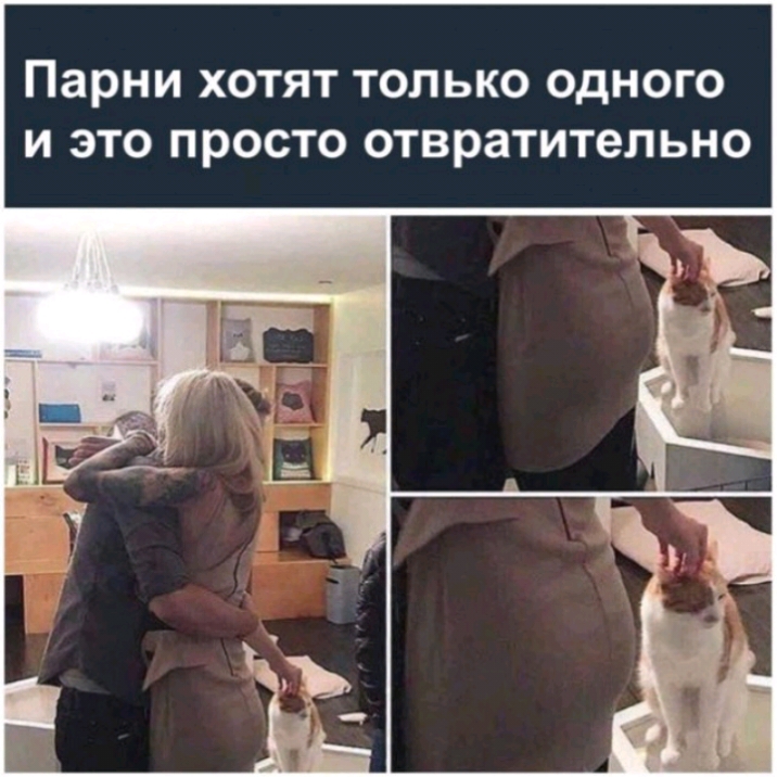Парни ХОТЯТ ТОЛЬКО ОДНОГО И ЭТО ПРОСТО ОТВРЗТИТеЛЬНО