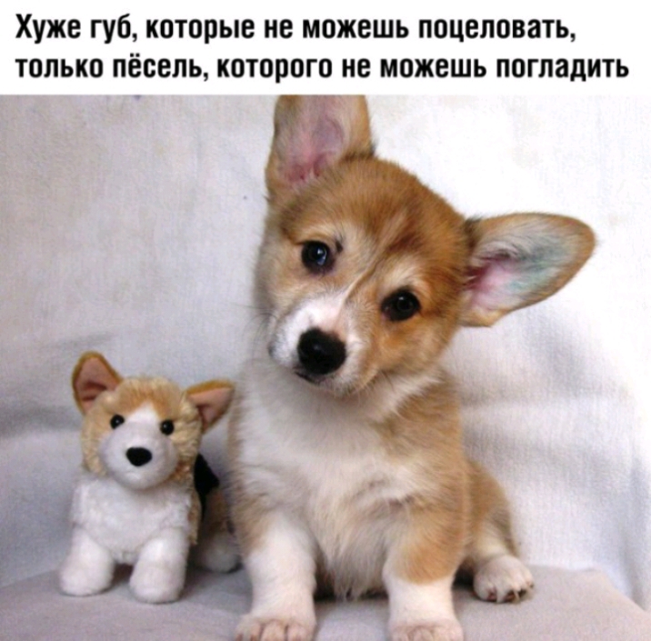 Хуже губ которые не можешь поцеловать только пёоель которого не можешь погладить
