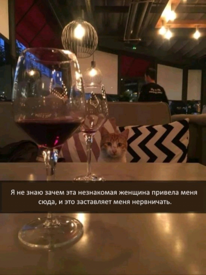 1 ёКЁ э Я не знаю зачем ЗТЗ незнакомая женщина привела МЕНЯ сюда и ЭТО заставляет МЕНЯ нервничать і