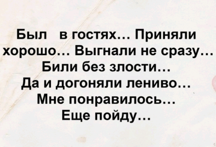 Был в гостях Приняли хорошо Выгнали не сразу Били без злости да и догоняли лениво Мне понравилось Еще пойду