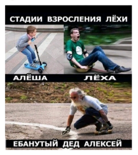 СТАДИИ ВЗРОСЛЕНИЯ ЛЁХИ