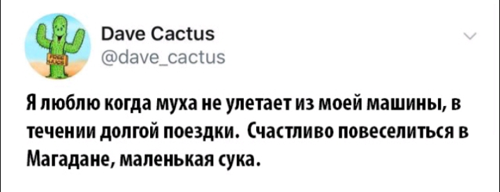 Ваче Сасшэ сіаиэ састыз Я люблю когда муха не улетает из моей машины в течении долгой поездки Счастливо повеселиться в Магадане маленькая сука