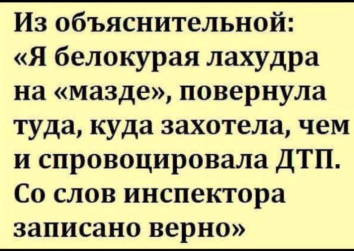 Из объяснительной Я белокурая лахудра на мазде повернула туда куда захотела чем и спровоцировала ДТП Со слов инспектора записано верно