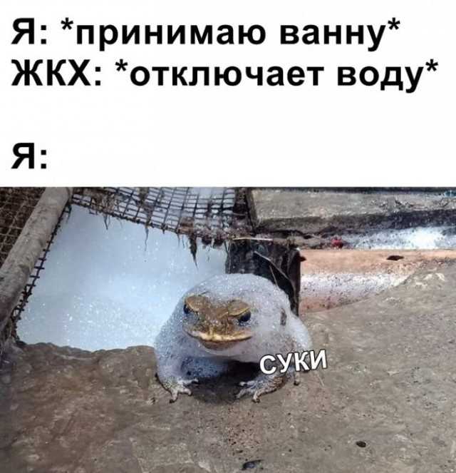 Я принимаю ванну ЖКХ откпючает воду Я