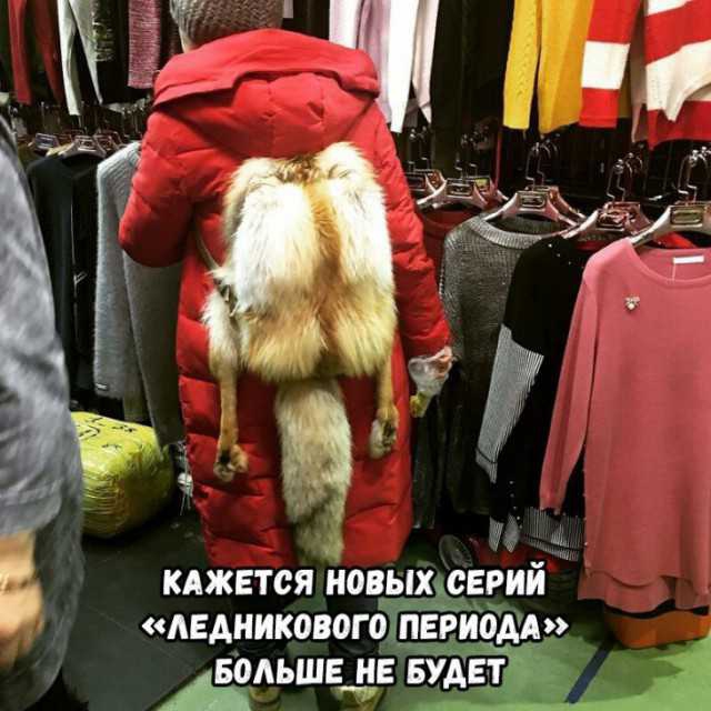 кджвтся Новыхсврий ледникового шипом водьш5__ н ву вт А А