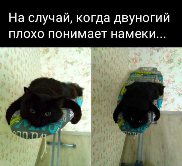 На случай когда двуногий плохо понимает намеки