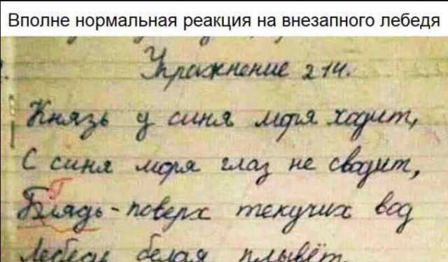 ВПОПНЕ нормальная реакция на ВНЕЗЭПНОГО лебедя д а