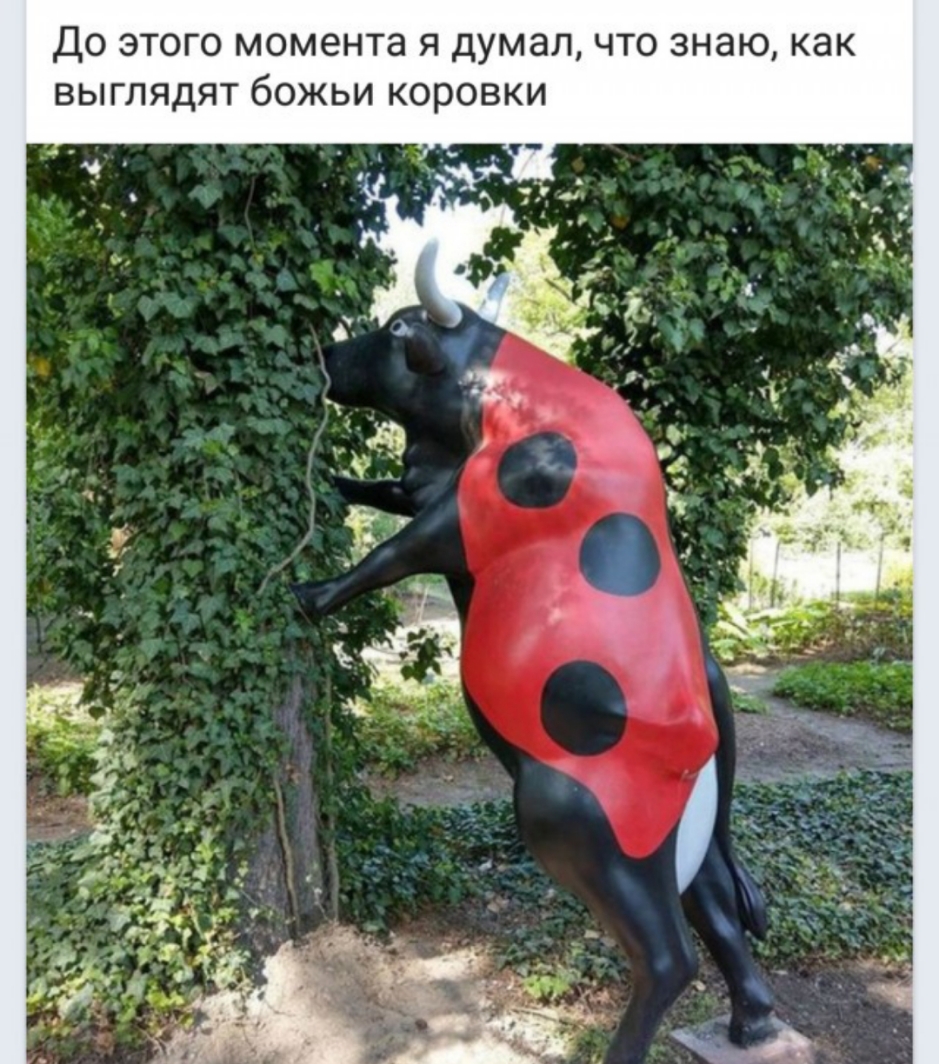 ДО ЭТОГО момента Я думал ЧТО знаю КЭК ВЫГЛЯДЯТ бОЖЬИ КОРОВКИ
